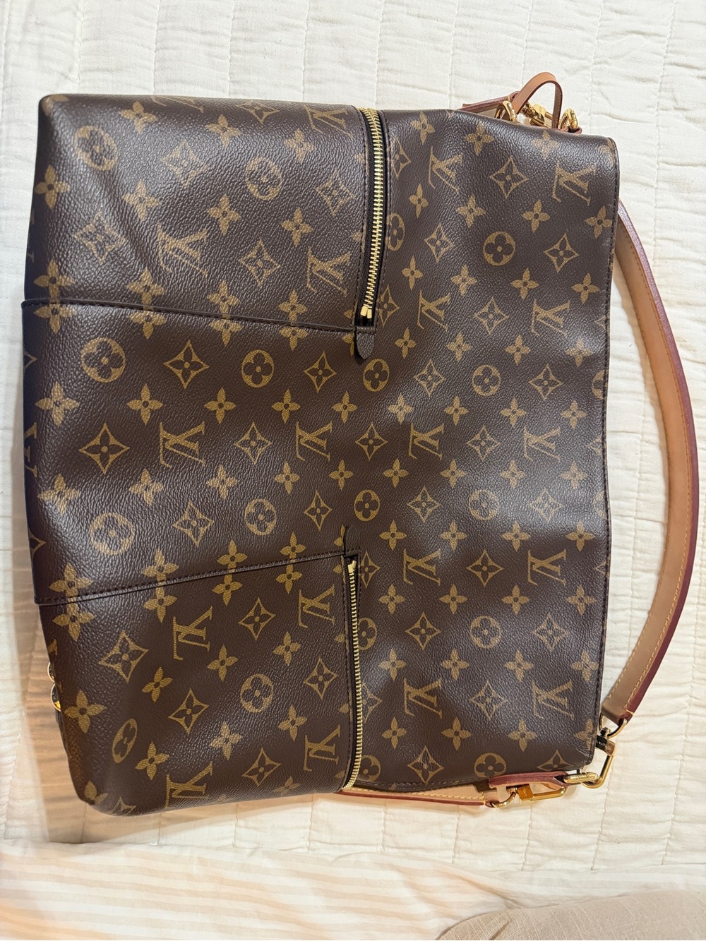 Louis Vuitton Monogram Canvas Handbag in Brown with Beige Tag - Picture 8 of 9